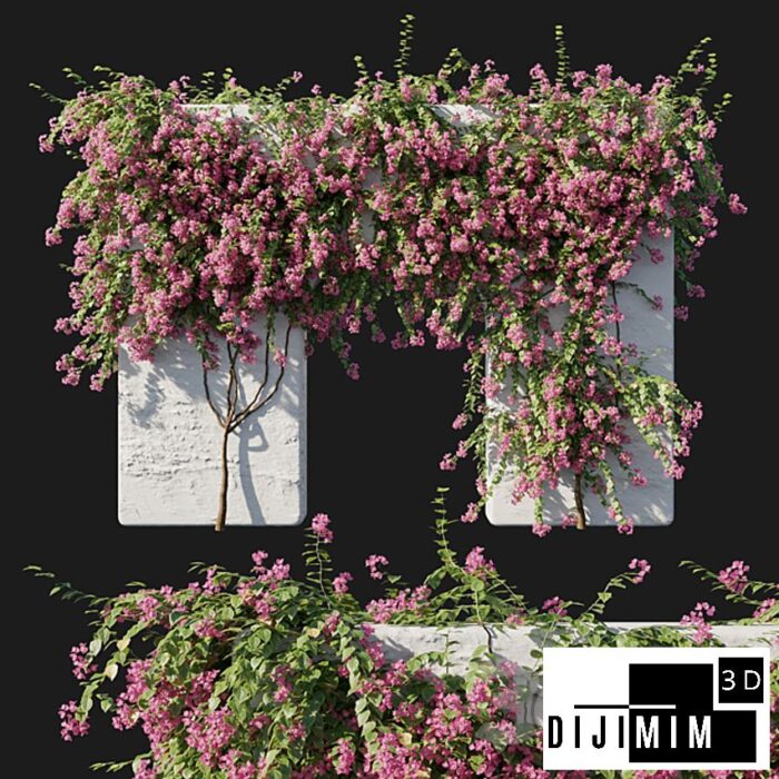 SARMAŞIK & BİTKİ DUVARI - Görsel 1