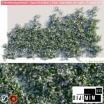 SARMAŞIK & BİTKİ DUVARI