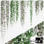 SARMAŞIK & BİTKİ DUVARI