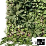 SARMAŞIK & BİTKİ DUVARI