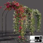 SARMAŞIK & BİTKİ DUVARI