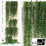 SARMAŞIK & BİTKİ DUVARI