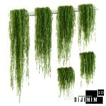 SARMAŞIK & BİTKİ DUVARI