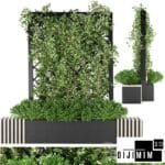 SARMAŞIK & BİTKİ DUVARI