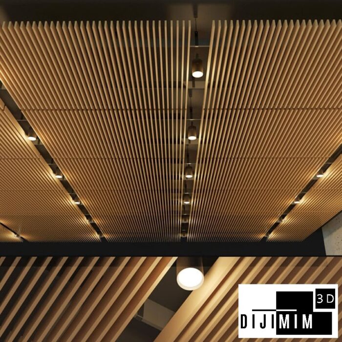 TAVAN - Görsel 1