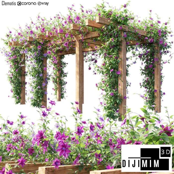 SARMAŞIK & BİTKİ DUVARI - Görsel 1
