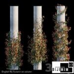 SARMAŞIK & BİTKİ DUVARI