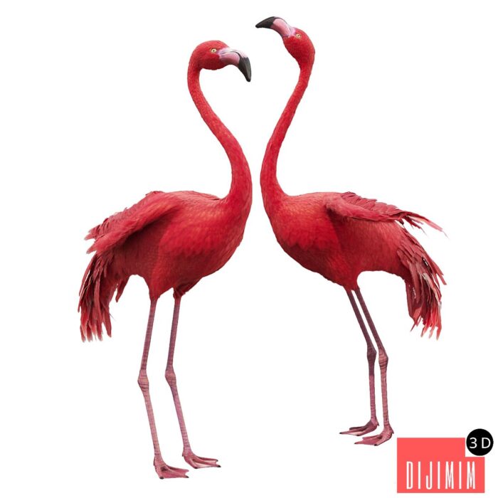 3D Flamingo-model - Görsel 1