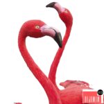 3D Flamingo-model - Görsel 2