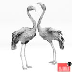 3D Flamingo-model - Görsel 3