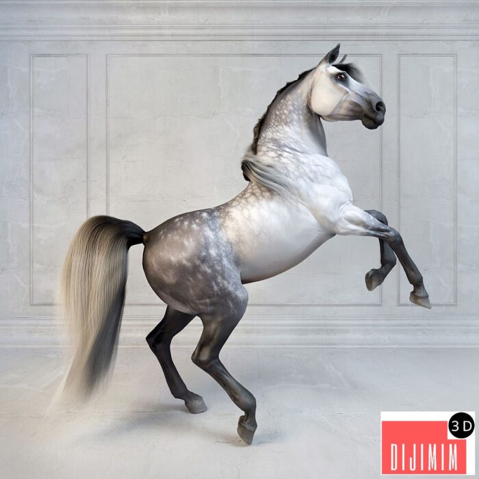 Andalusian Stallion. The Spanish horse. - Görsel 1