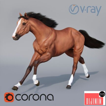 Running horse 02