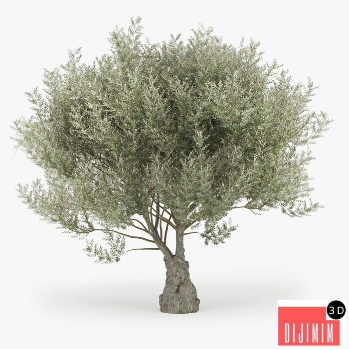 AĞAÇ - Görsel 1