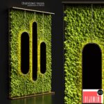 Stabilized moss and mirrors