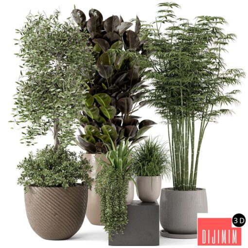 Indoor Plants in rusty Concrete Pot - Set 229