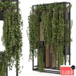 SARMAŞIK & BİTKİ DUVARI