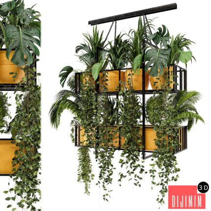 Indoor Hanging Plants in Metal Box - Set 103