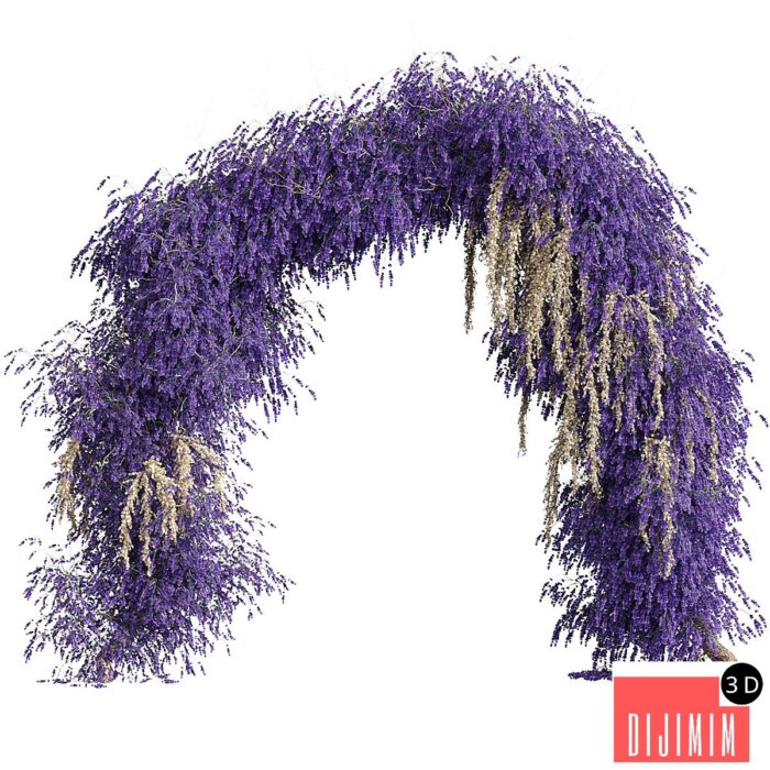 Arch of lavender flowers - Görsel 1
