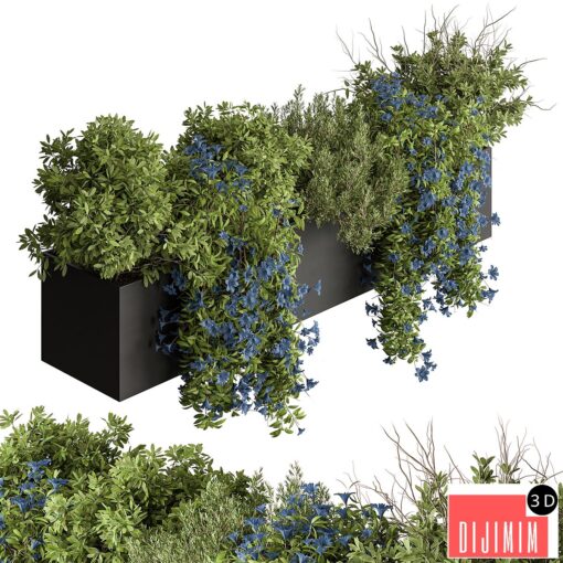 Hanging Plant - Outdoor Plants 503