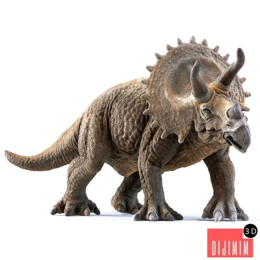 triceratops