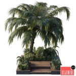 garden pot tree palm bush fern grass concrete base Collection Outdoor plant 102