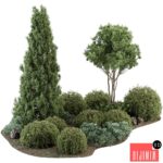 Garden Set Topiary and pine Plants - Outdoor Plants Set 410