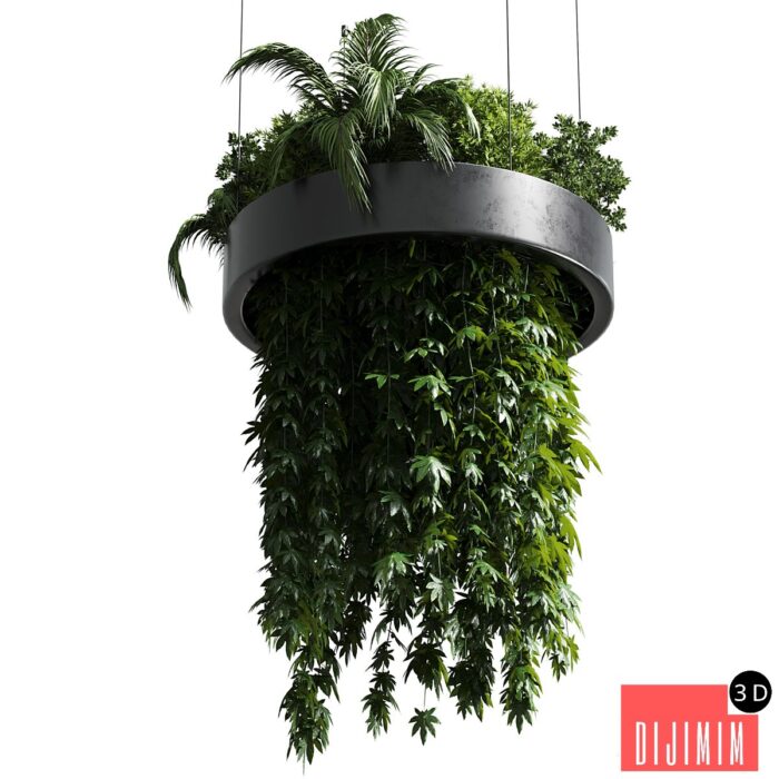 Hanging plant - indoor plant 292 - Görsel 1