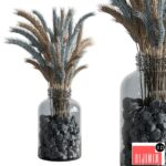 Dry plants 101 - Wheat