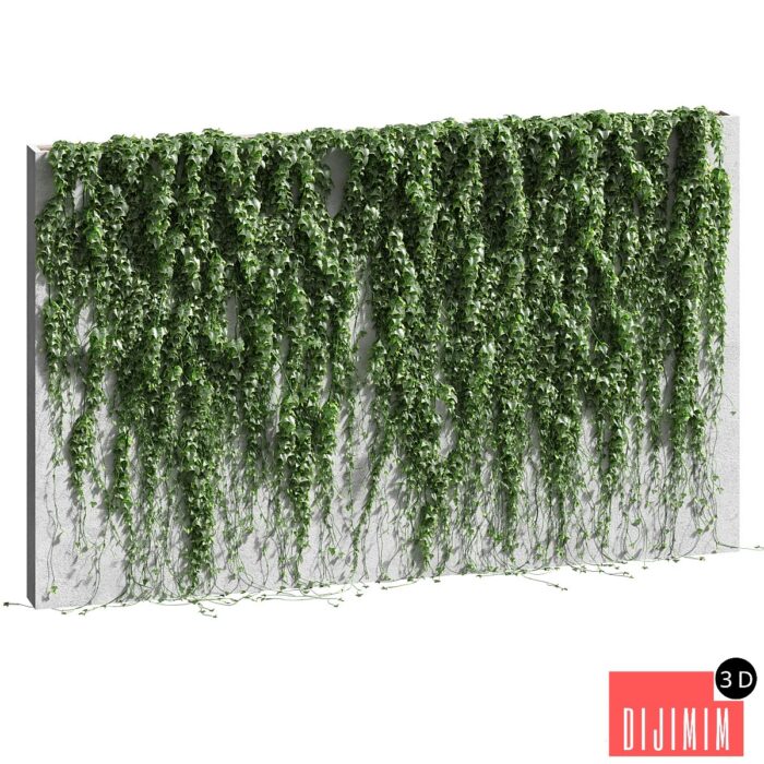 Ivy for the fence v2 - Görsel 1