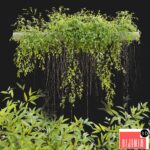 Hanging Plant 25