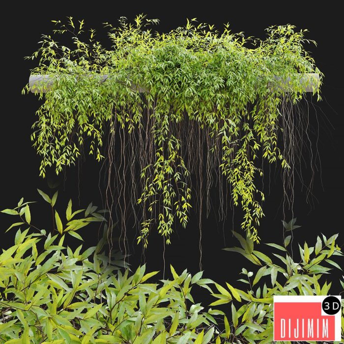 Hanging Plant 25 - Görsel 1