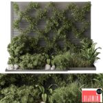 Outdoor Plant Set 429- Ivy on Wall