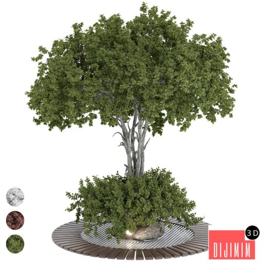 Outdoor garden Tree Collection 184