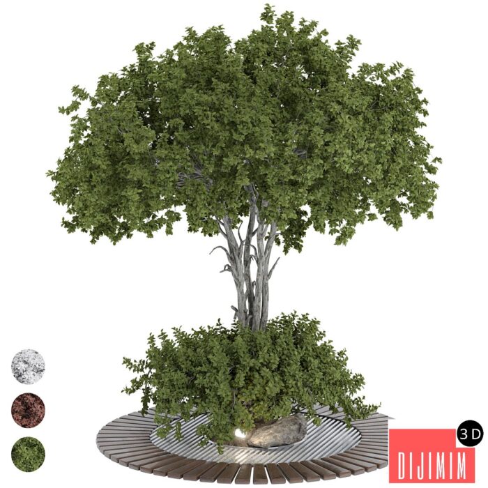 Outdoor garden Tree Collection 184 - Görsel 1