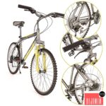 Mountain Bike Author Trophy