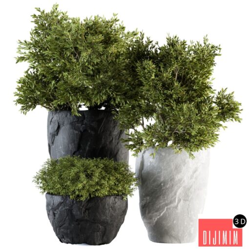 Outdoor Plants tree in Rock Pot - Set 136