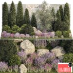 Beautiful garden with decorative Thuja and Elaeagnus, landscaping with pine, cypress, topiary, boulder stones, flowers and bushes lavender, sage, stone wall. Plant collection 1265
