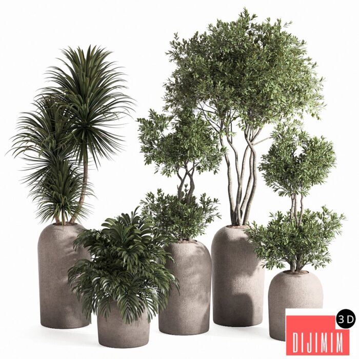 indoor plant set - Görsel 1