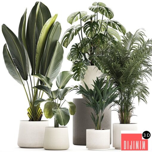 Plant collection 1320