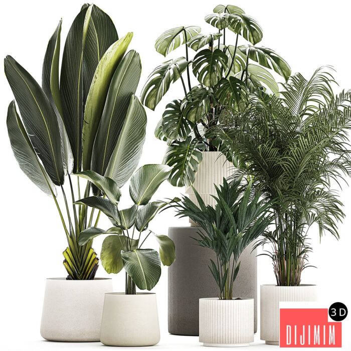 Plant collection 1320 - Görsel 1