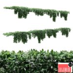 Creeper - Clematis Glycinoides - 8 Modular Pieces
