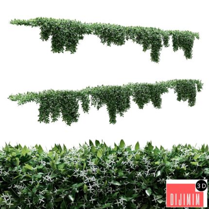 Creeper - Clematis Glycinoides - 8 Modular Pieces