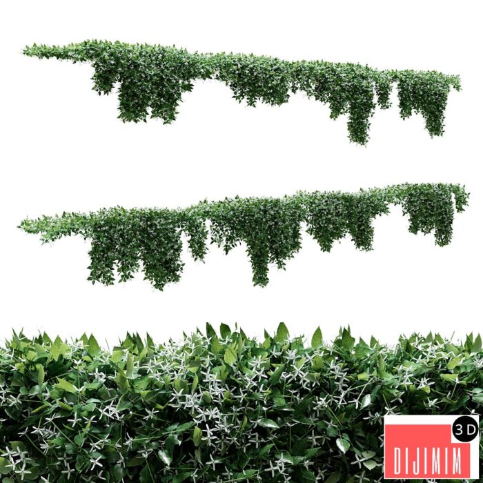 Creeper - Clematis Glycinoides - 8 Modular Pieces - Görsel 1