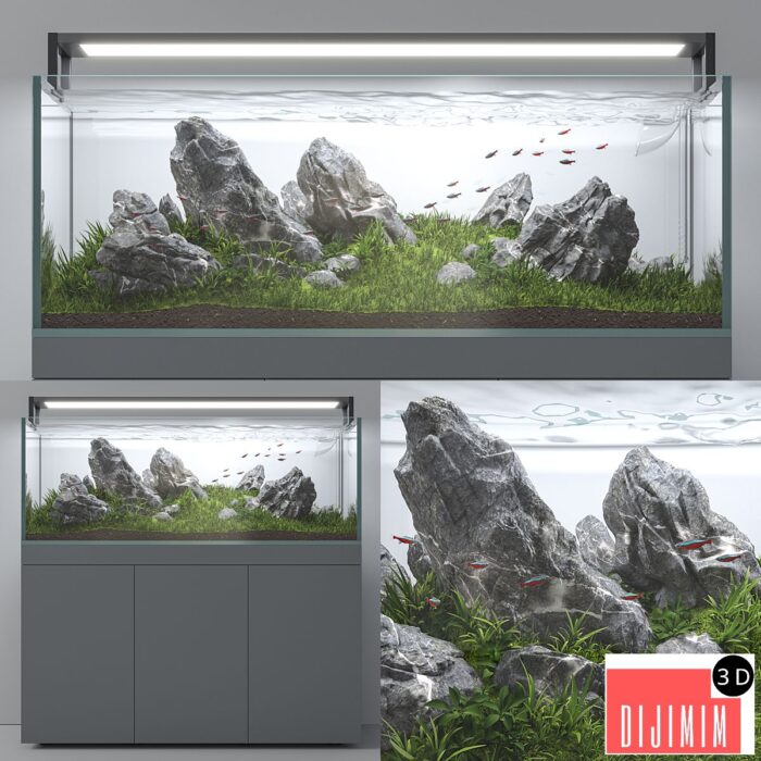 Aquascape aquarium Iwagumi - Görsel 1