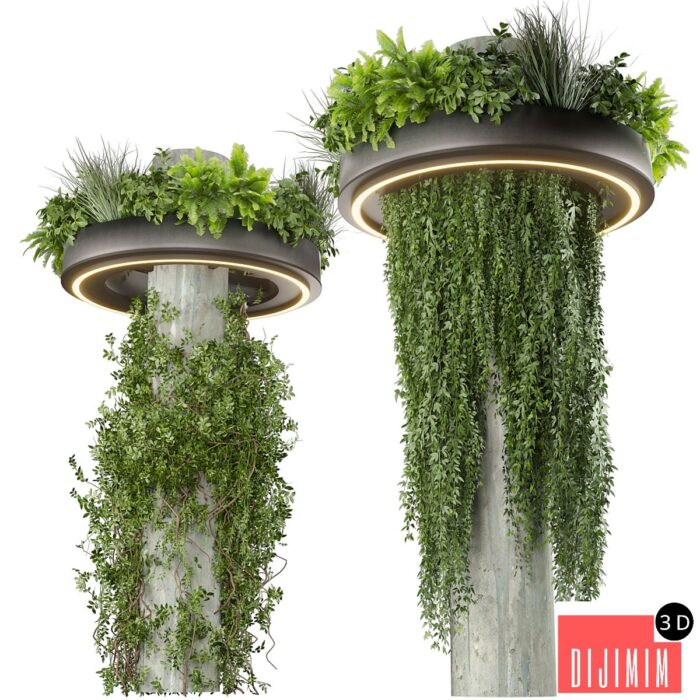 Collection plant vol 532 - bush - ampelous - column - fitowall - ivyv - Görsel 1