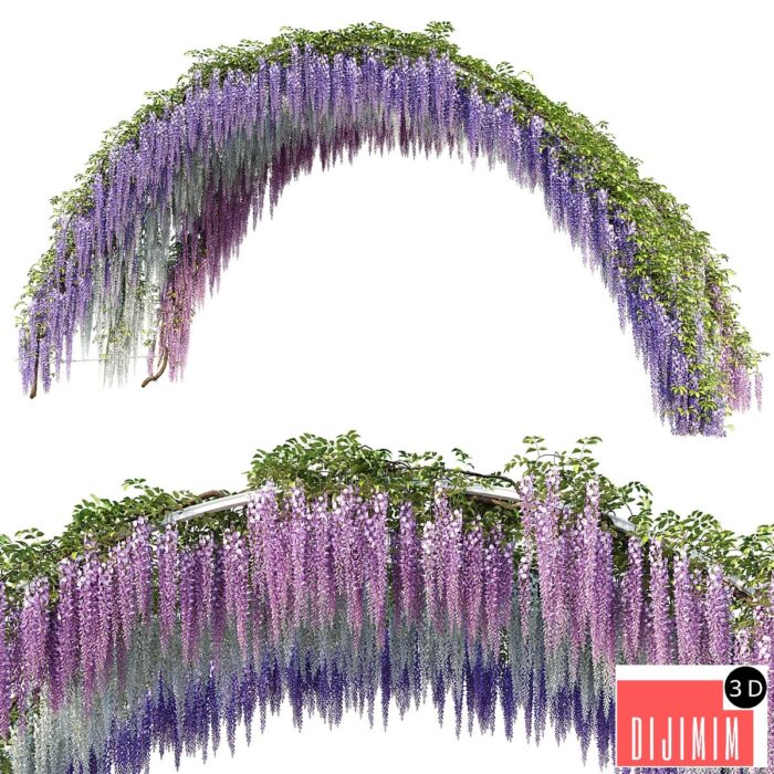 Arch with Wisteria - Görsel 1