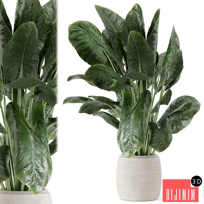 Indoor Plants in Handmade Stone Pot - Set 1797 - Görsel 1