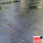 Wet asphalt with leaves. Autumn. Editable