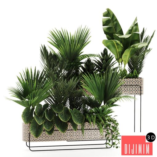 Indoor plants in box set-70