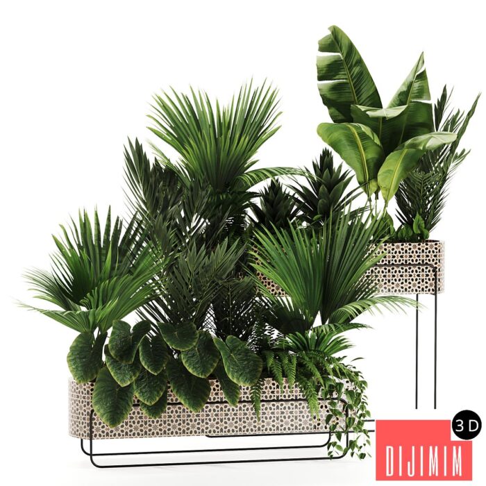 Indoor plants in box set-70 - Görsel 1